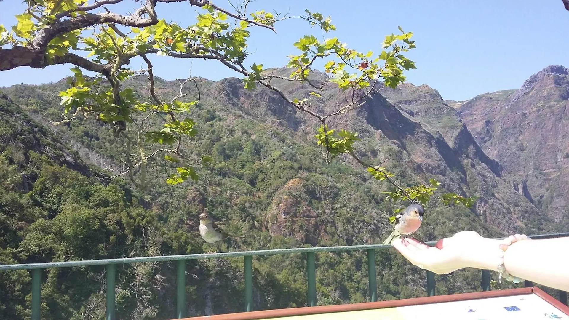 Casa Shalom Villa São Roque do Faial Portekiz